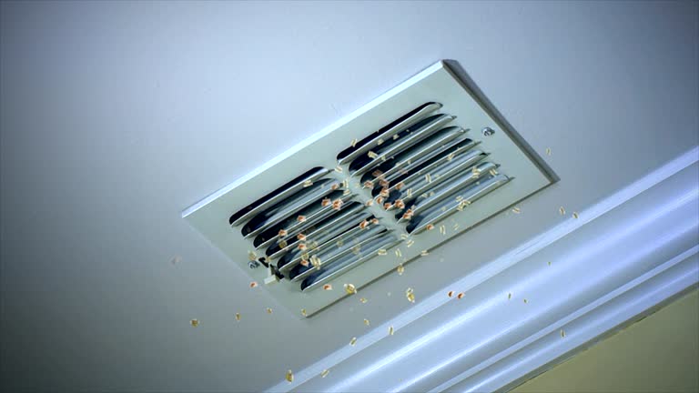 Best Local Air Duct Cleaning Services  in Williamstown, KY