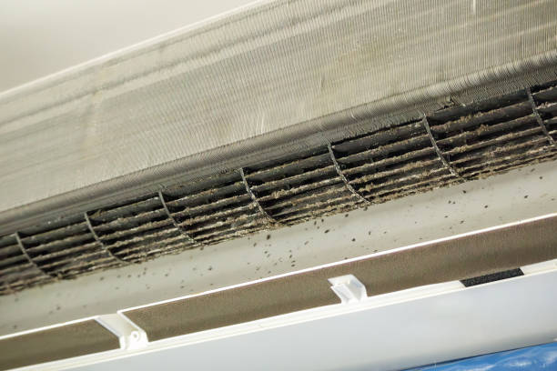 Best HVAC Maintenance and Cleaning  in Williamstown, KY