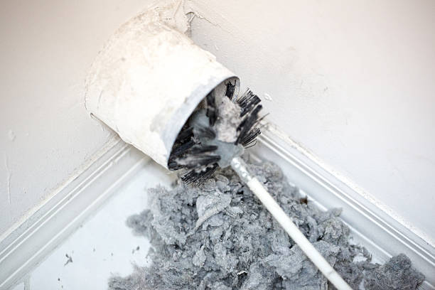 Best Home Air Vent Cleaning  in Williamstown, KY