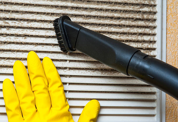 Best Air Vent Cleaning Services  in Williamstown, KY
